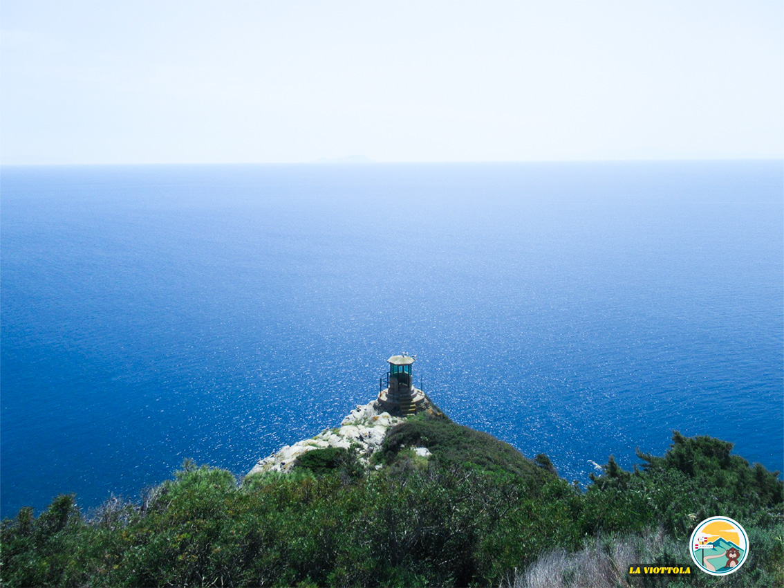 Isola di Gorgona - mare
