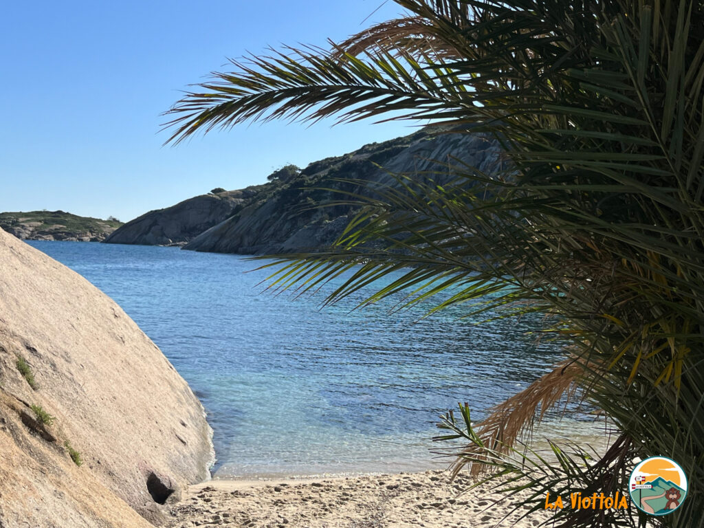 Isola del Giglio