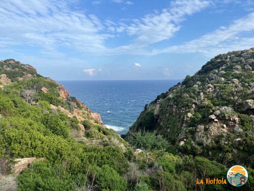 Isola di Capraia panorama