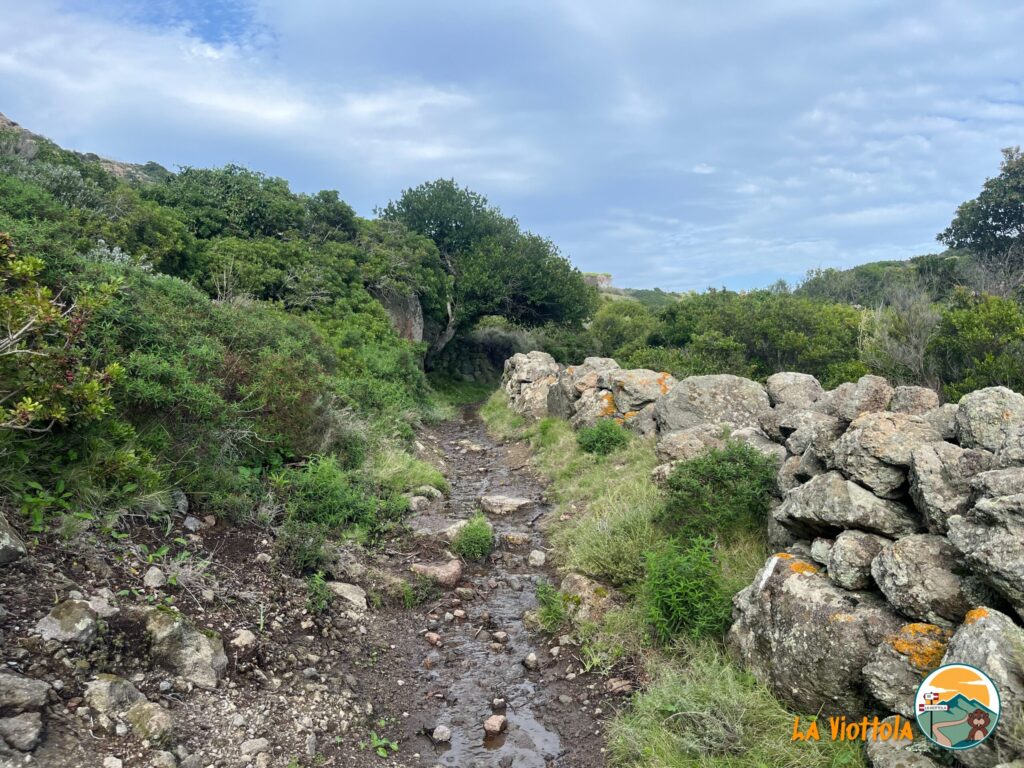 Sentiero Arcipelago Toscano