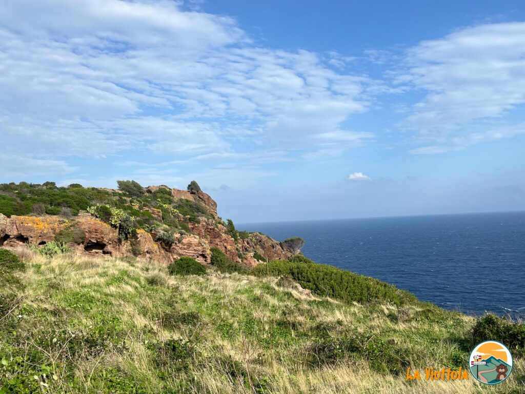 Isola di Capraia