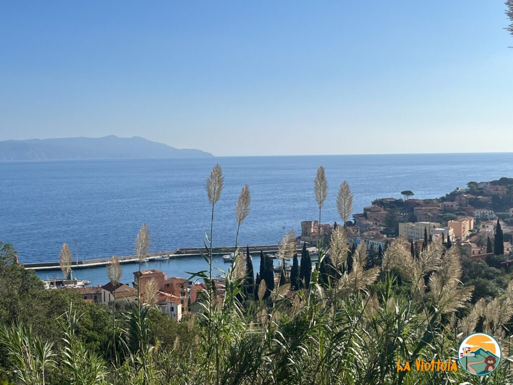 Isola del Giglio panorama