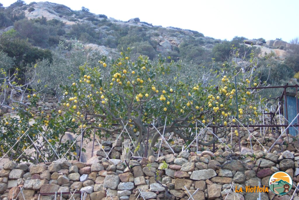 Arcipelago Toscano