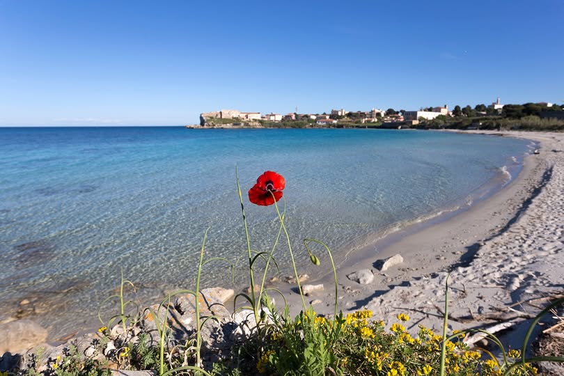 Pianosa